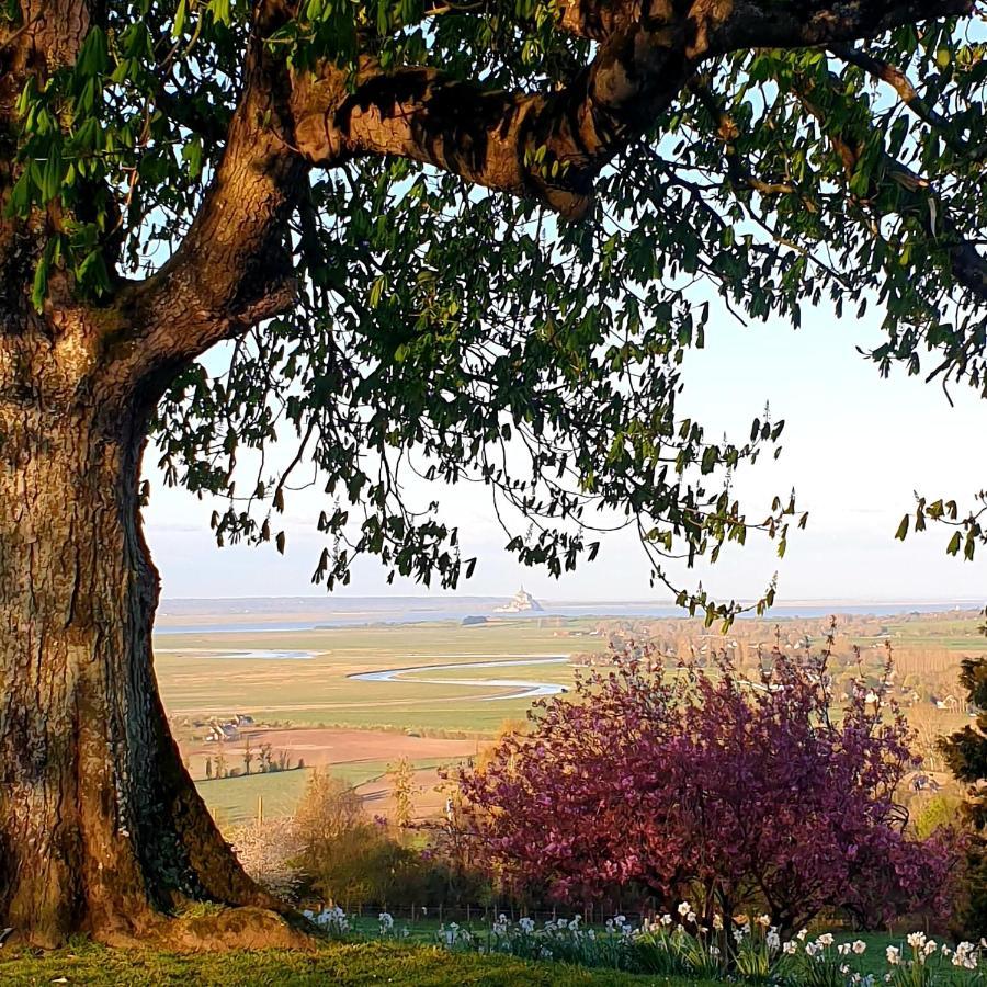 L'Abrincat'Studio, Centre Entre Donjon Et Vue Mont Avranches Ngoại thất bức ảnh